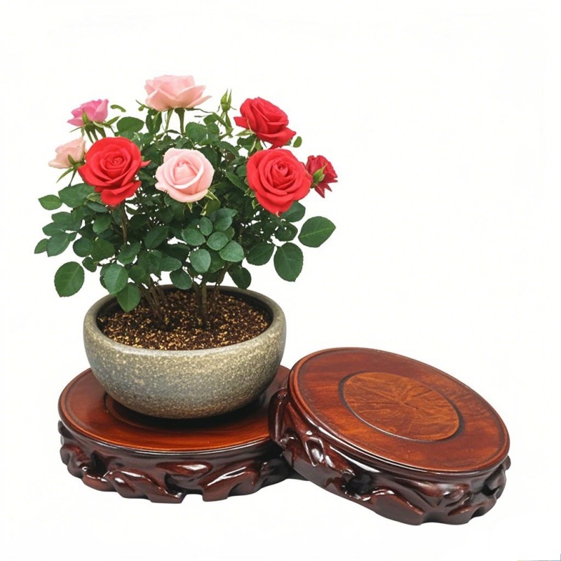 Wooden Plant Saucer & Flower P - Coffee Tea Gardens review and price